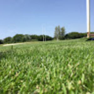 Meet your Posher, Zoe